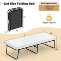 Cot Size Rollaway Guest Bed with Memory Foam Mattress, 75"x31" Portable Folding Bed with Heavy Duty Metal Frame for Home Office Small Spaces